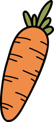 Hand Drawn carrot illustration