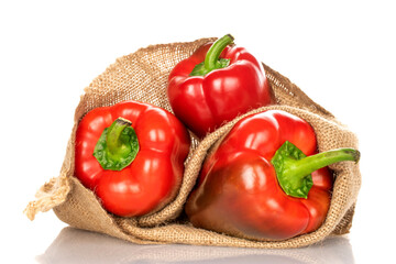 Three red organic, bell peppers in a jute bag, close-up, isolated on white.