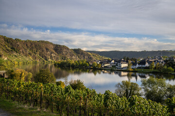 Fototapeta premium Piesport (Mosel), Oktober 2022