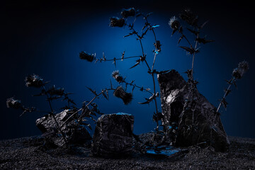 Black stones and flowers with thorns on the dark ground