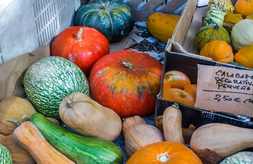 Colorful and decorative session pumpkins at outdoor organic farmer market. Autumn season. "Decorative pumkins". Different varieties types mini pumkins