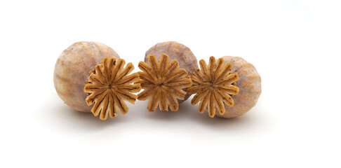 Trois capsules de pavot isolées sur fond blanc