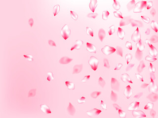 Pink sakura petals confetti flying and falling