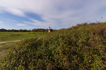 Scenic view to the Tranerodde Fyr lighthouse. - obrazy, fototapety, plakaty