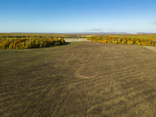 Fototapeta premium The concept of autumn. Autumn landscape. Aerial photography. Aerial drone view. A green field against the background of a bright red-yellow grove of trees. Bright colors of autumn. Drone shot.