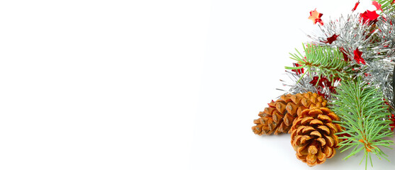Christmas decoration of fir branch and pine cone isolated on white . Wide photo. Free space for...