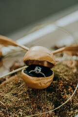 engagement ring in woods