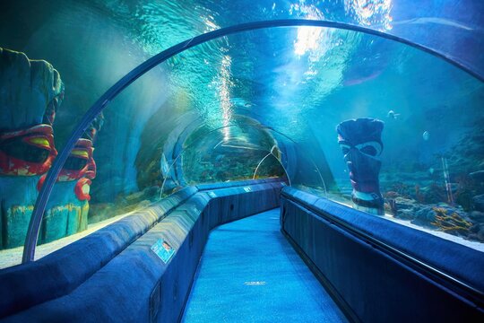 ISTANBUL, TURKEY - NOVEMBER 27, 2021: The Great Istanbul Aquarium. Aquariums with inhabitants of the seas and oceans.
