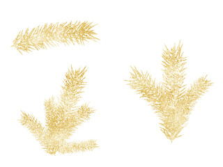 Golden fir, twig. Gold texture. Isolated png illustration, transparent background. Asset for art brush, stamp, flourish design, Christmas wreath, pattern, cards, montage, collage or mark making.