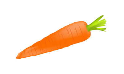 Carrot 3d on white background. Realistic carrot. Design for food, culinary products, recipe website design, cookbook. Vector eps10