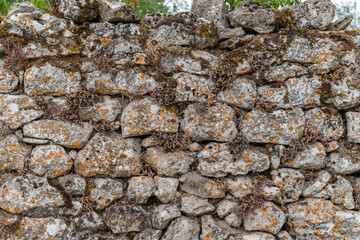 Stone wall on the Causse Mejean in the Cevennes.