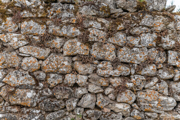 Stone wall on the Causse Mejean in the Cevennes.