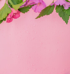 Obraz premium Pink and purple flowers on a pink background with copy space for text