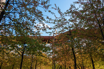 Herbst,Fall,gelb,yellow,braun,brown,rost,laub,blätter,leaves,industrie,industriecharme,Natur,bäume,trees,oktober,october,