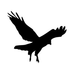 Eagle silhouette isolated on white background. Eagle in landing. vector illustration