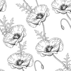 Wild flowers herbs collection pattern- Capsella, Chamomile, 
Poppy, Anemone, Cornflower. 1
Hand drawn botanical illustration isolated black outline.