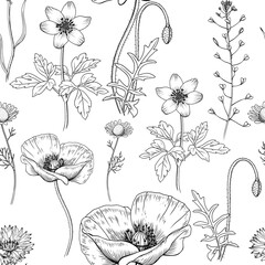 Wild flowers herbs collection pattern- Capsella, Chamomile, 
Poppy, Anemone, Cornflower. 2
Hand drawn botanical illustration isolated black outline.