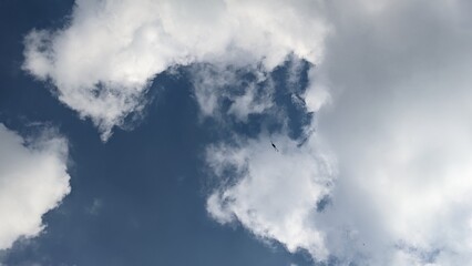 white clouds in the blue sky