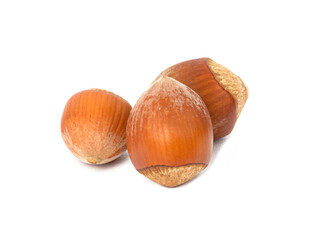 a large amount of hazelnuts as an isolate