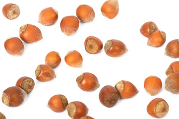 a large amount of hazelnuts as an isolate