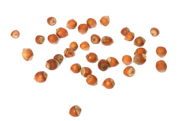 a large amount of hazelnuts as an isolate