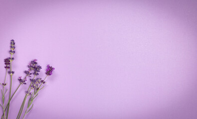 finely textured shiny lavender color background with lavender stems with vignette