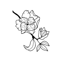 Branch with persimmon flowers. Vector stock illustration eps10. Outline, isolate on white background. Hand drawn.