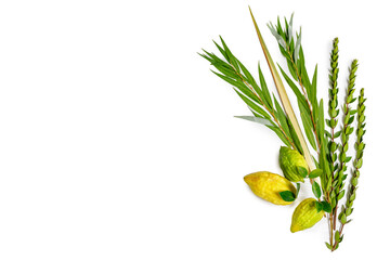 Jewish holiday of Sukkot. Traditional symbols (The four species): Etrog (citron), lulav (palm...