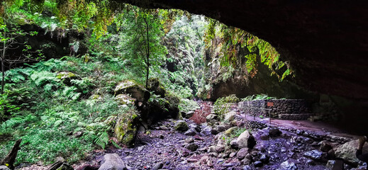 Los Tilos Forest on the island of La Palma, a place of indescribable beauty