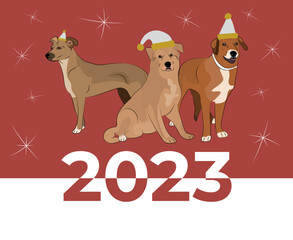 Mutt dog drawing. Cute dog characters in various poses, designs for prints, adorable and cute Christmas mixed breed dog cartoon vector set, in different poses. New year poster, symbol