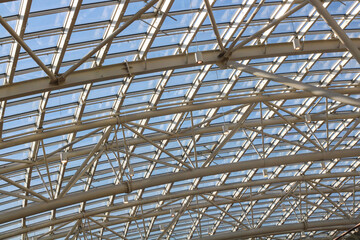 Element of a transparent dome. Glass and steel ceiling