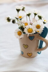 Bouquet of daisies.