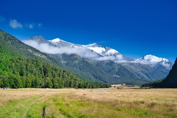 Fototapeta premium Matukituki River Valley, Aspiring National Park, New Zealand