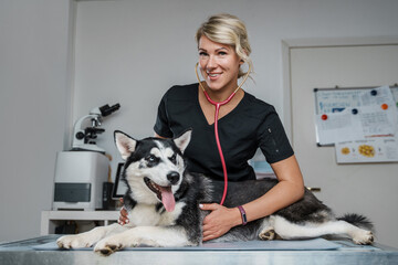 Fototapeta na wymiar Portrait of female vet with stethoscope checking up husky dog in clinic.