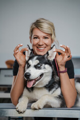 Portrait of female veterinarian specialist holding ears of purebred siberian husky dog.