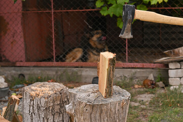 an axe over a log.