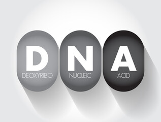 DNA Deoxyribonucleic Acid - hereditary material in humans and almost all other organisms, acronym text concept background