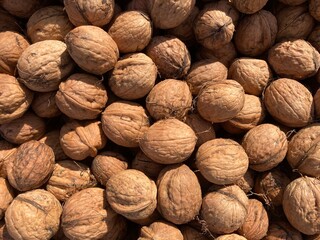 a heap of brown walnuts