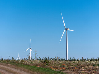 wind turbines farm