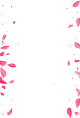 Obraz na płótnie Canvas Beautiful Rose Blur Vector White Background.