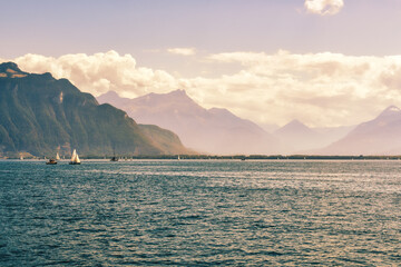 Marine l&eacute;manique