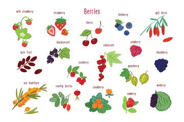 Berries healthy food vector illustrations set.