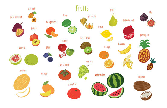Fruits healthy food vector illustations set.