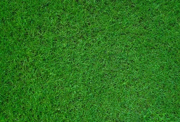 Wandcirkels aluminium top view of green grass texture background for football field  golf or garden decoration. close up of natural green lawn texture background © MrAnuwat