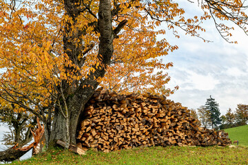 Brennholz, Firewood