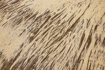 texture of sand