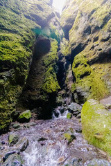 die beeindruckende Felsspalte von Rauðfeldsgjá Gorge auf der Halbinsel Snæfellsnes von Island