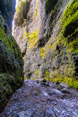die beeindruckende Felsspalte von Rauðfeldsgjá Gorge auf der Halbinsel Snæfellsnes von Island