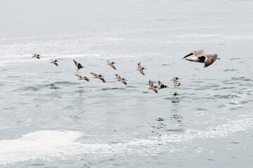 Pacific coast highway impressions
