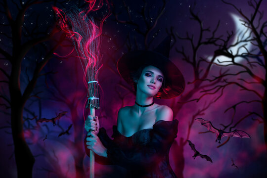 Banner collage of stunning magician lady holding flying broom stick moon night on ultra colored dark woods image © Beauty Hero